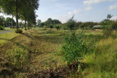 MiniIMG_20231007_133034