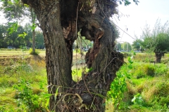 MiniIMG_20231007_133305