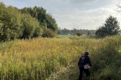 MiniIMG_4276