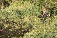 MiniIMG_4277