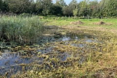 MiniIMG_4285