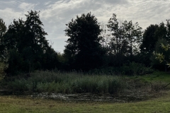 MiniIMG_4300
