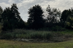 MiniIMG_4301