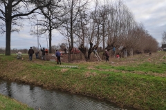 MiniIMG_20230107_091138_1