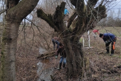 MiniIMG_20230107_092435