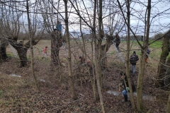 MiniIMG_20230107_092754