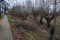 MiniIMG_20230107_092758_1