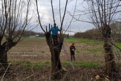 MiniIMG_20230107_093602