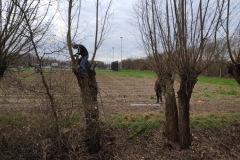 MiniIMG_20230107_093632_1