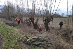 MiniIMG_20230107_093638