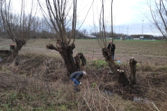 MiniIMG_20230107_093650