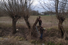 MiniIMG_20230107_093659_1