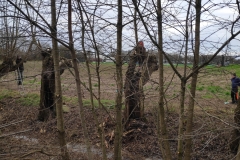 MiniIMG_20230107_094754