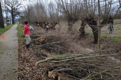 MiniIMG_20230107_094814