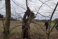 MiniIMG_20230107_094832