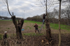 MiniIMG_20230107_095013
