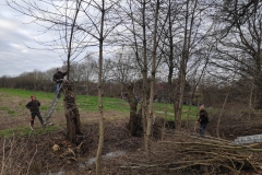 MiniIMG_20230107_095034