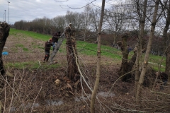 MiniIMG_20230107_095042