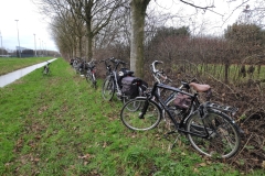 MiniIMG_20230107_100255_1