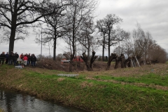 MiniIMG_20230107_100310