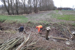 MiniIMG_20230107_105918_1