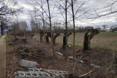 MiniIMG_20230107_110350
