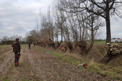 MiniIMG_20230107_112906