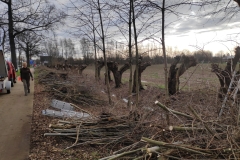 MiniIMG_20230107_114117_1