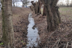 MiniIMG_20230107_114130
