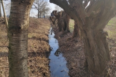 MiniIMG_20230107_122651_1