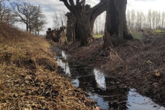 MiniIMG_20230107_123819