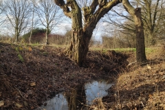 MiniIMG_20230107_123830
