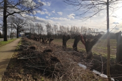 MiniIMG_20230107_124057