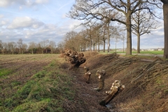 MiniIMG_20230107_124907