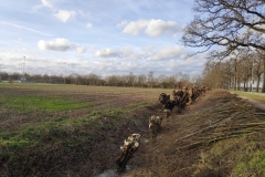 MiniIMG_20230107_124924
