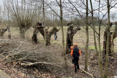 MiniIMG_2325