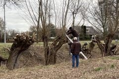 MiniIMG_2327