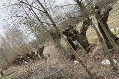 MiniIMG_2333