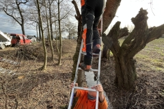 MiniIMG_2340