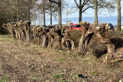 MiniIMG_2341