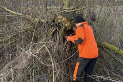 MiniIMG_2401