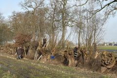 MiniIMG_2405