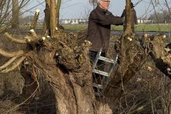 MiniIMG_2406