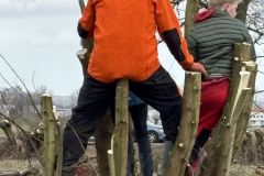 MiniIMG_2409