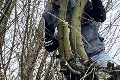 IMG_2583