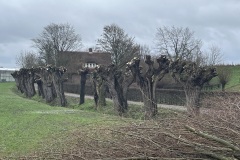 IMG_2586