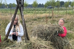 MiniIMG_3544