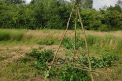 MiniIMG_20220701_190957