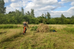 MiniIMG_20220701_191950