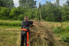 MiniIMG_20220701_191958_1